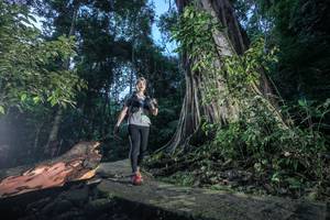 BIB: 
                            <button type="button" onclick="openModal(24809295)" class="btn btn-primary btn-sm float-right btn-popup" data-toggle="modal" data-target=".modal-high-quality">
                        <i class="fas fa-shopping-cart"></i> Add to Cart
                    </button>
                                            <button type="button" onclick="isThisMe(24809295, true)" class="btn btn-success btn-sm float-right btn-popup btn-isme hidden" data-toggle="tooltip" data-placement="bottom" title="นี่คือรูปของคุณใช่ไหม คลิกที่นี่เพื่อเอาเข้าอัลบั้ม">
                        <i class="fas fa-plus"></i> Add to album
                    </button>
                    <button type="button" onclick="isThisMe(24809295, false)" class="btn btn-warning btn-sm float-right btn-popup btn-isnotme hidden">
                        <i class="fas fa-ban"></i> Remove from album
                    </button>